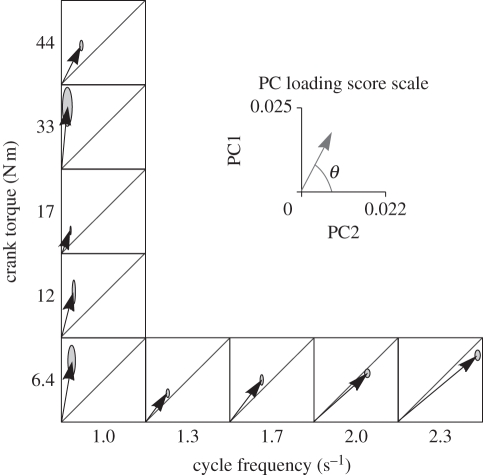 Figure 4.