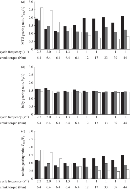 Figure 3.