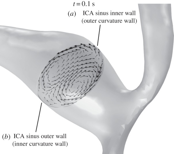 Figure 12.