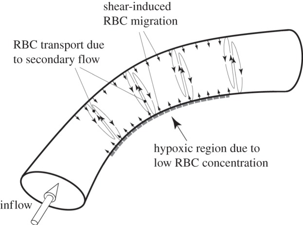 Figure 13.