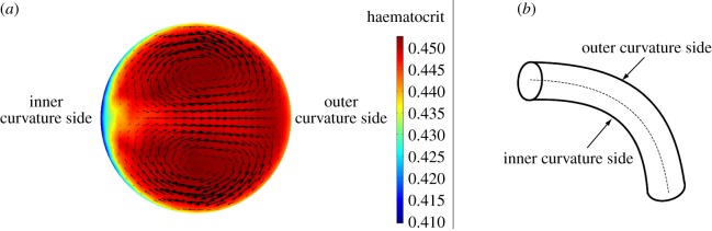 Figure 6.