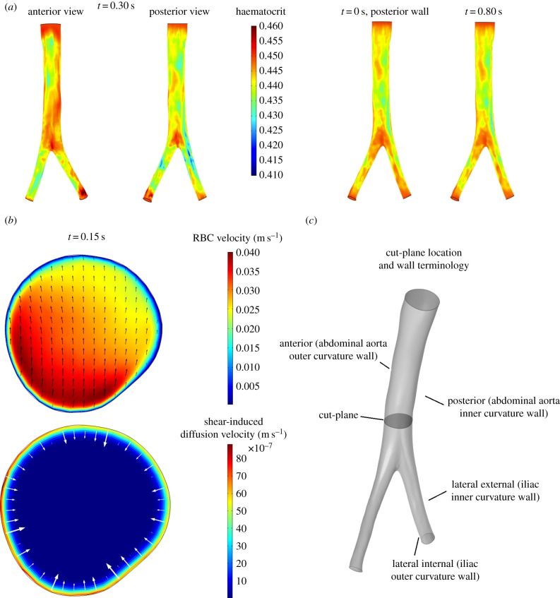 Figure 7.