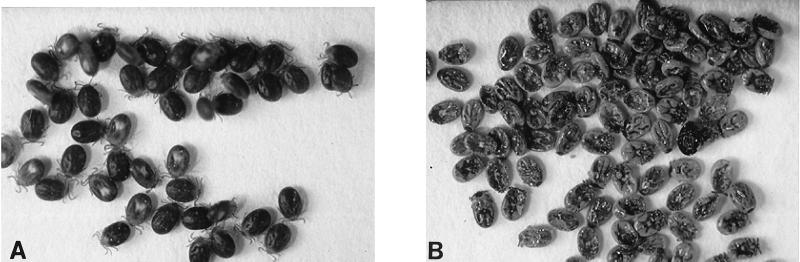 FIG. 7