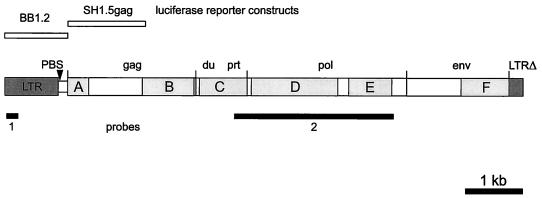 FIG. 1