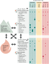 Plant and animal morphological, behavioural and reproductive traits involved in specialized plant–animal interactions in fire-prone ecosystems.