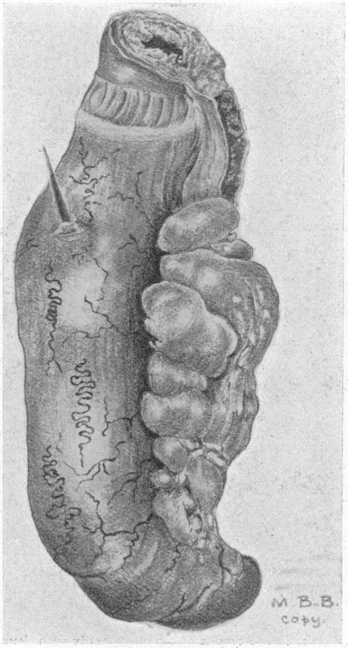 FIG. 6.