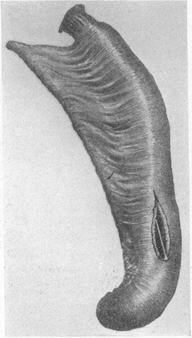 FIG. 5.