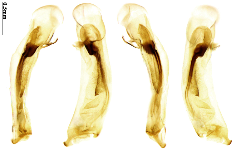 Figure 92.
