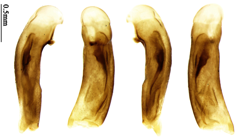 Figure 76.