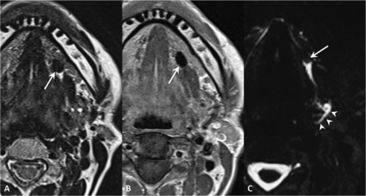 Fig. 8.