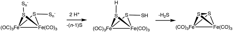 Scheme 6.