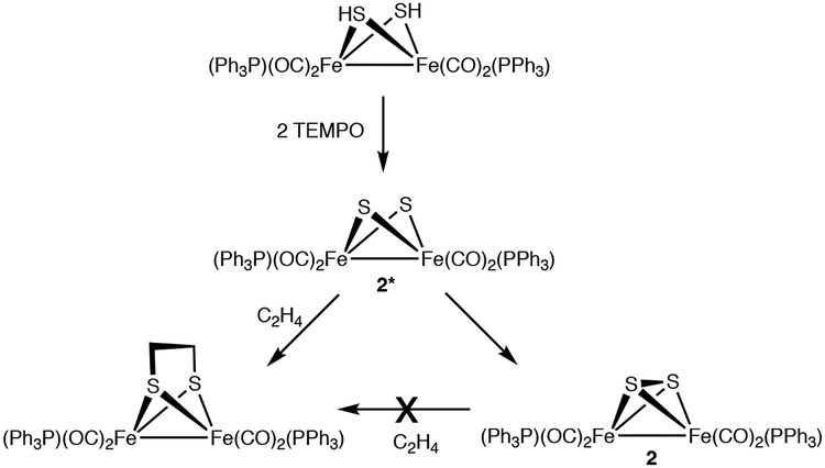 Scheme 5.