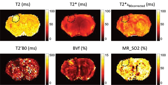 Figure 2: