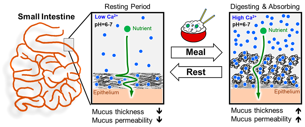 Figure 7.