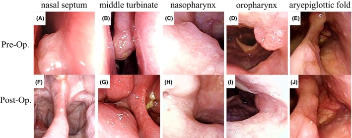 FIGURE 3