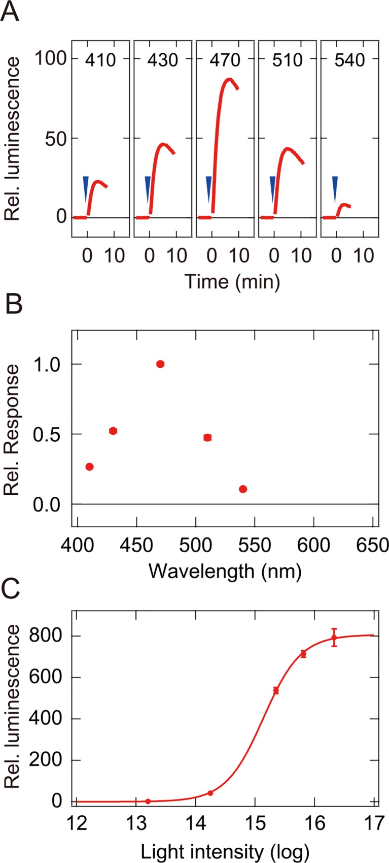 Fig 4