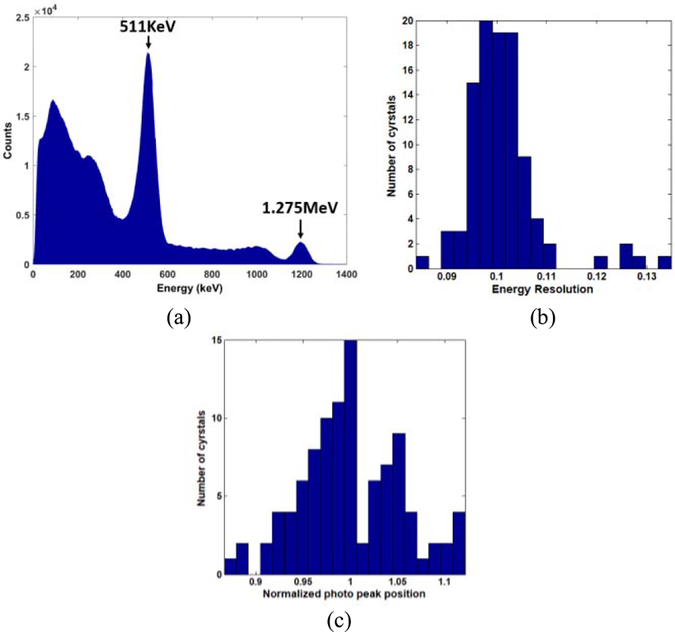 Fig. 13.