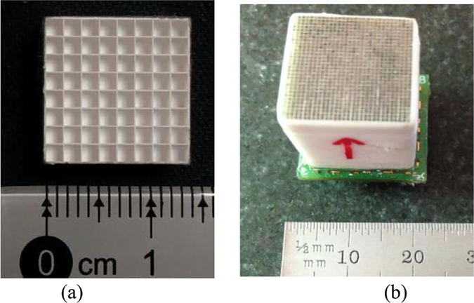 Fig. 8.