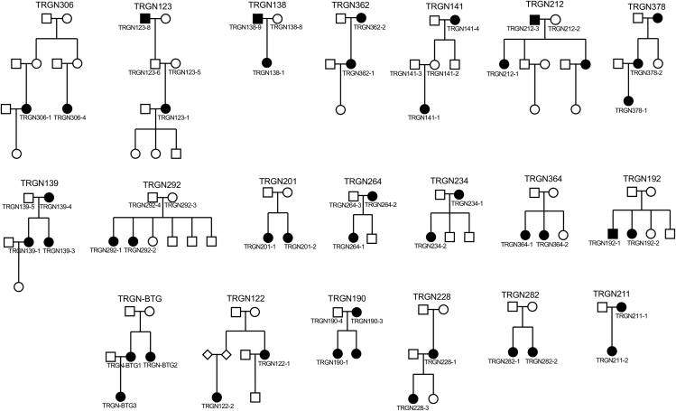 Figure 1