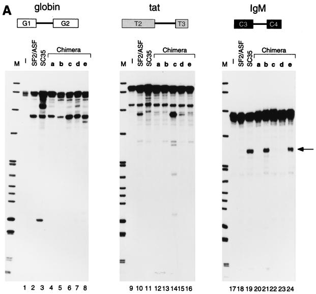 FIG. 7