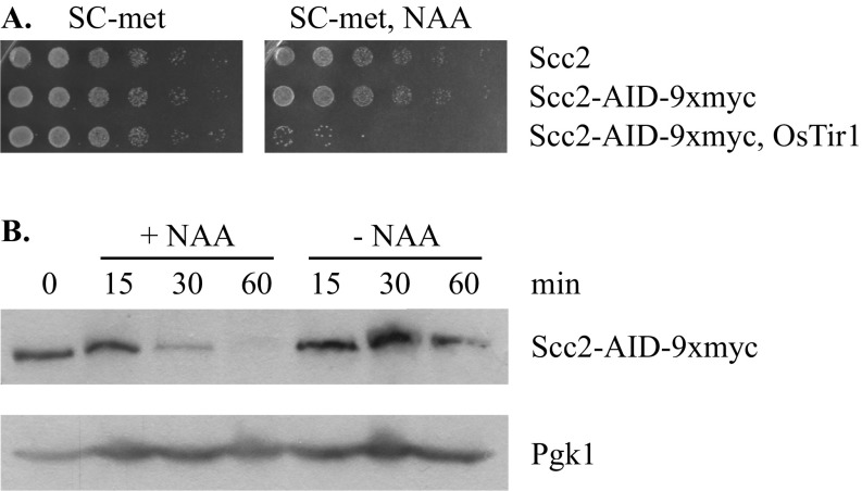 Fig. S6.