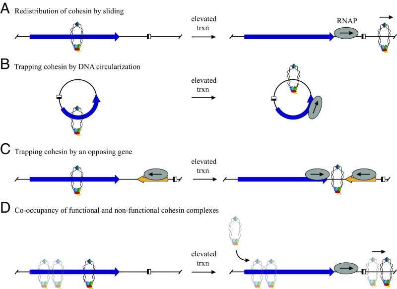 Fig. 7.