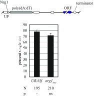 Fig. S4.