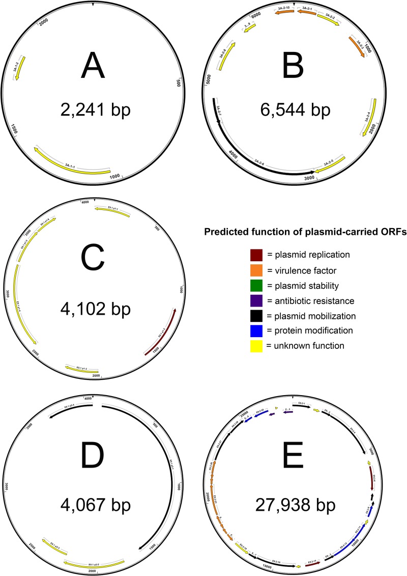 FIG 6