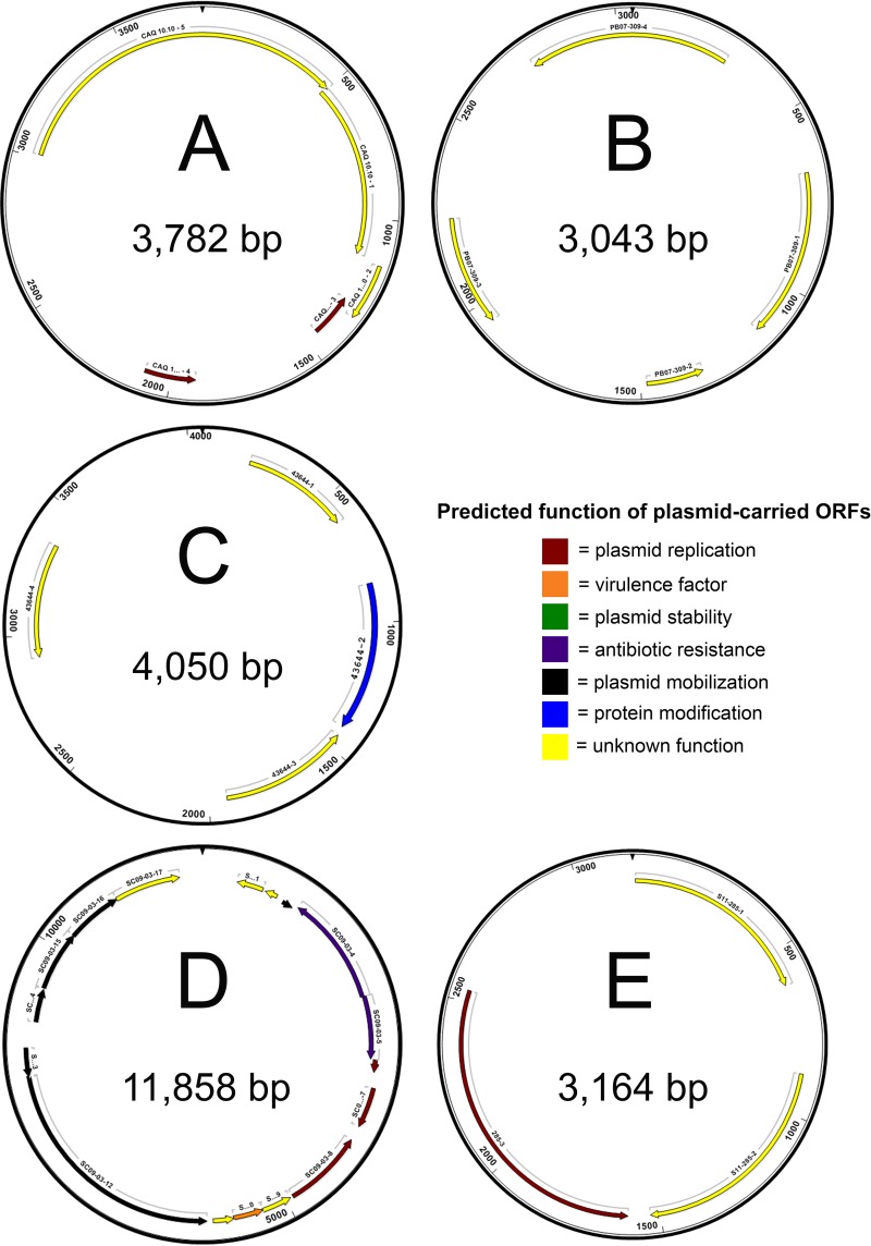 FIG 5