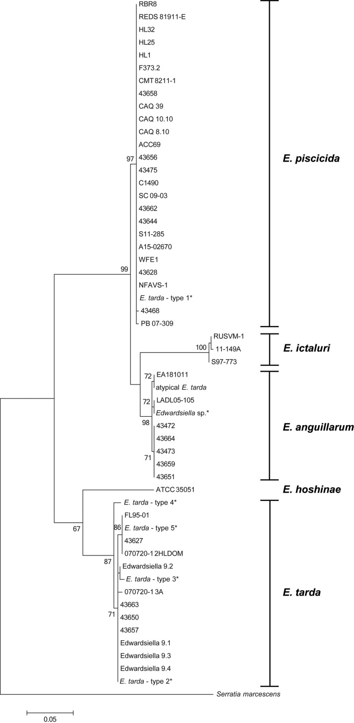 FIG 2