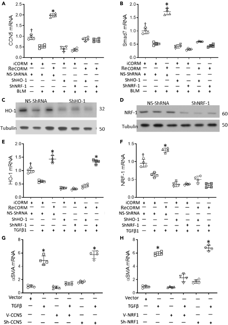 Figure 7