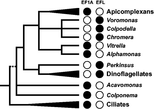 Fig. 3.—