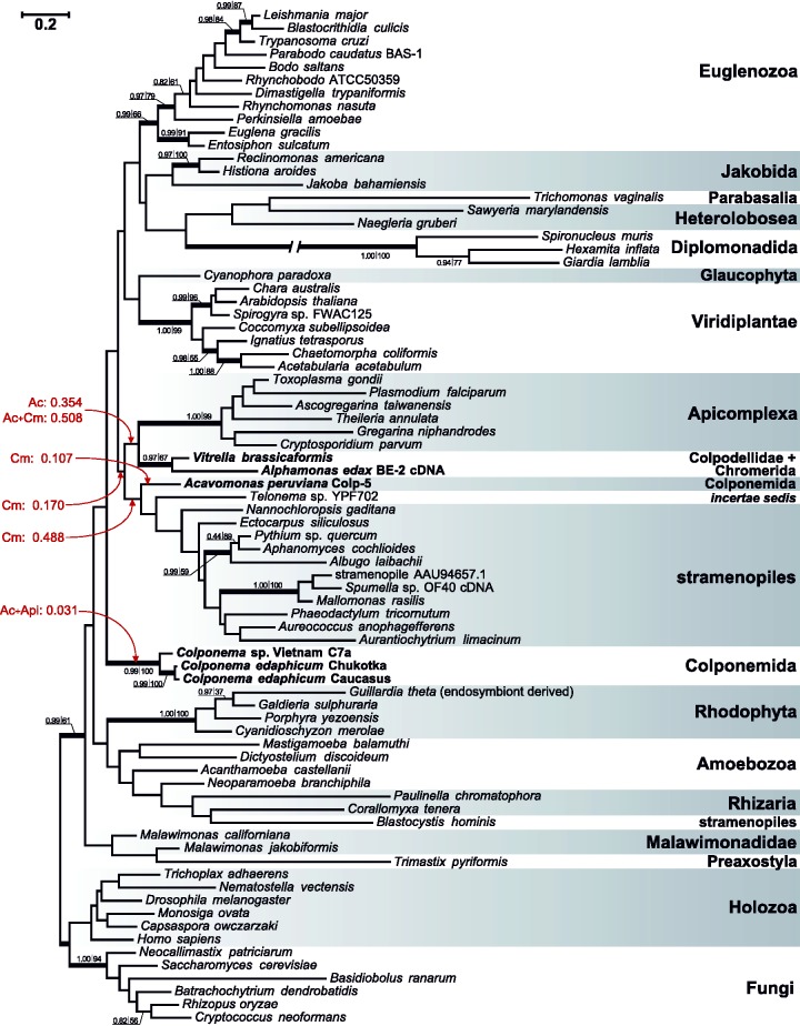 Fig. 2.—