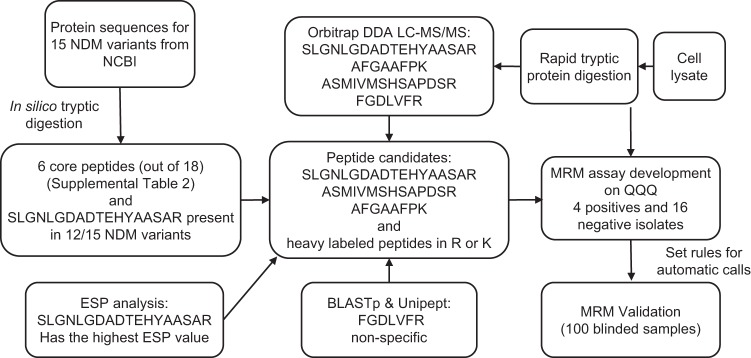 FIG 1