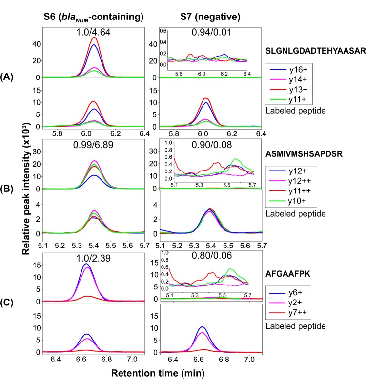 FIG 2