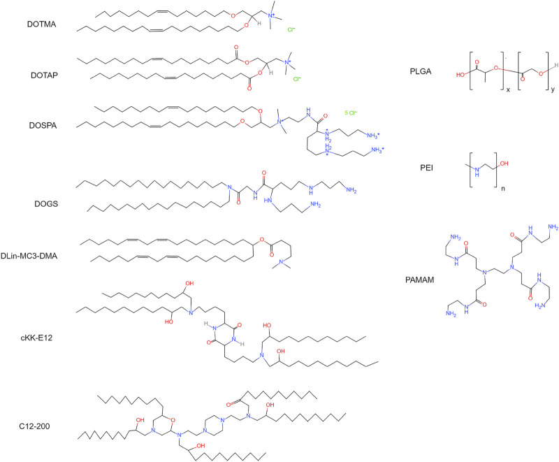 FIGURE 4