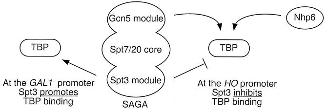 FIG. 9.