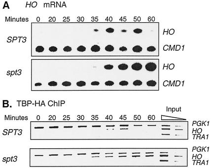 FIG. 8.