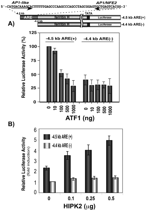 Fig. 6.