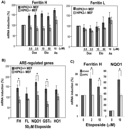 Fig. 8.