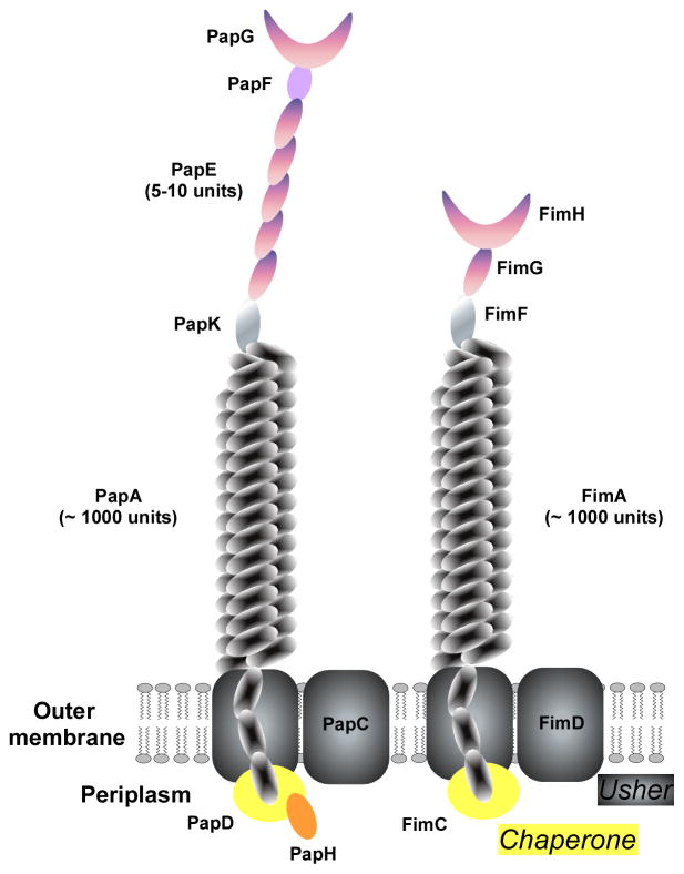 Fig. 8