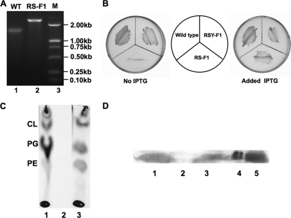 Fig 4