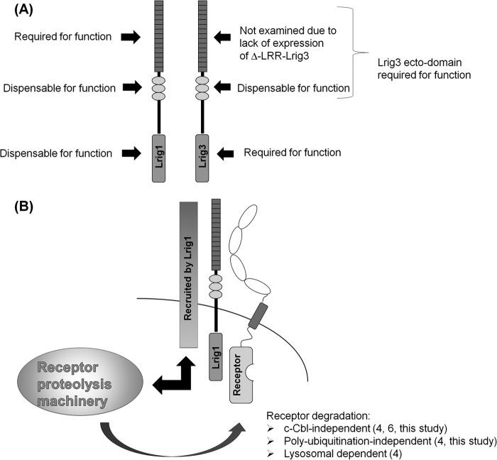 FIGURE 14.