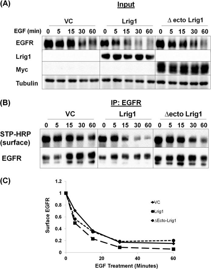 FIGURE 13.