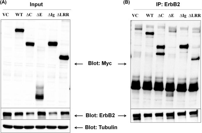 FIGURE 10.