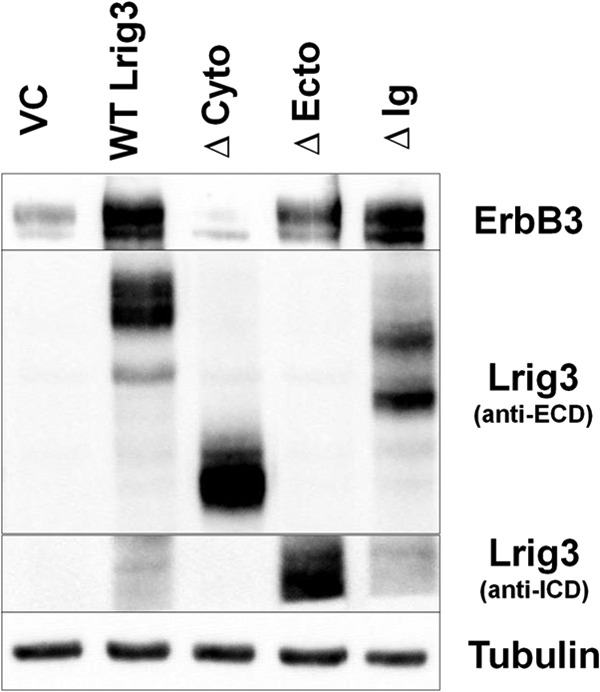 FIGURE 12.