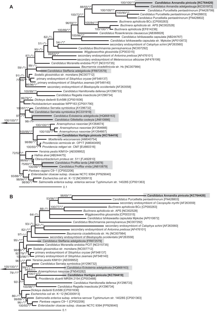 FIG 2