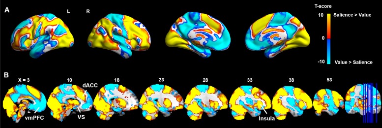 Figure 6—figure Supplement 2.