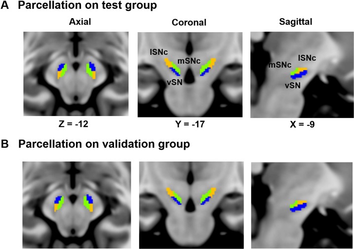 Figure 2—figure supplement 2.