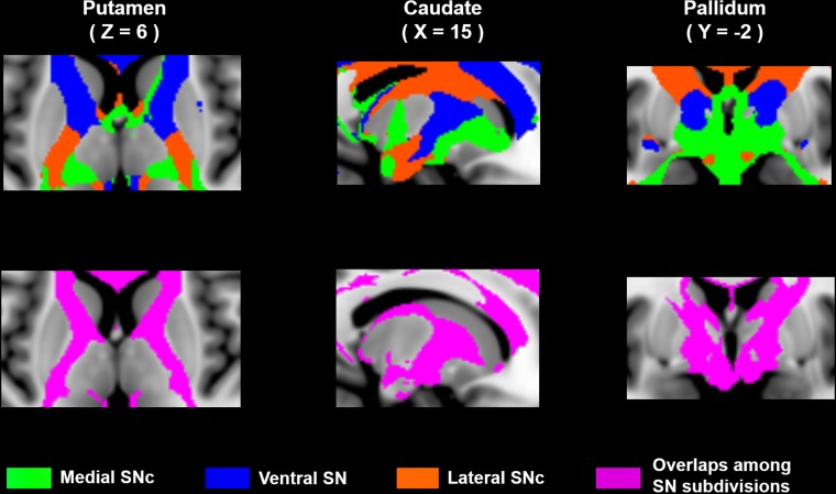 Figure 4—figure supplement 2.